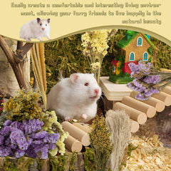 Sukh cage decor natural scene shows meadow-like habitat with vibrant colors.