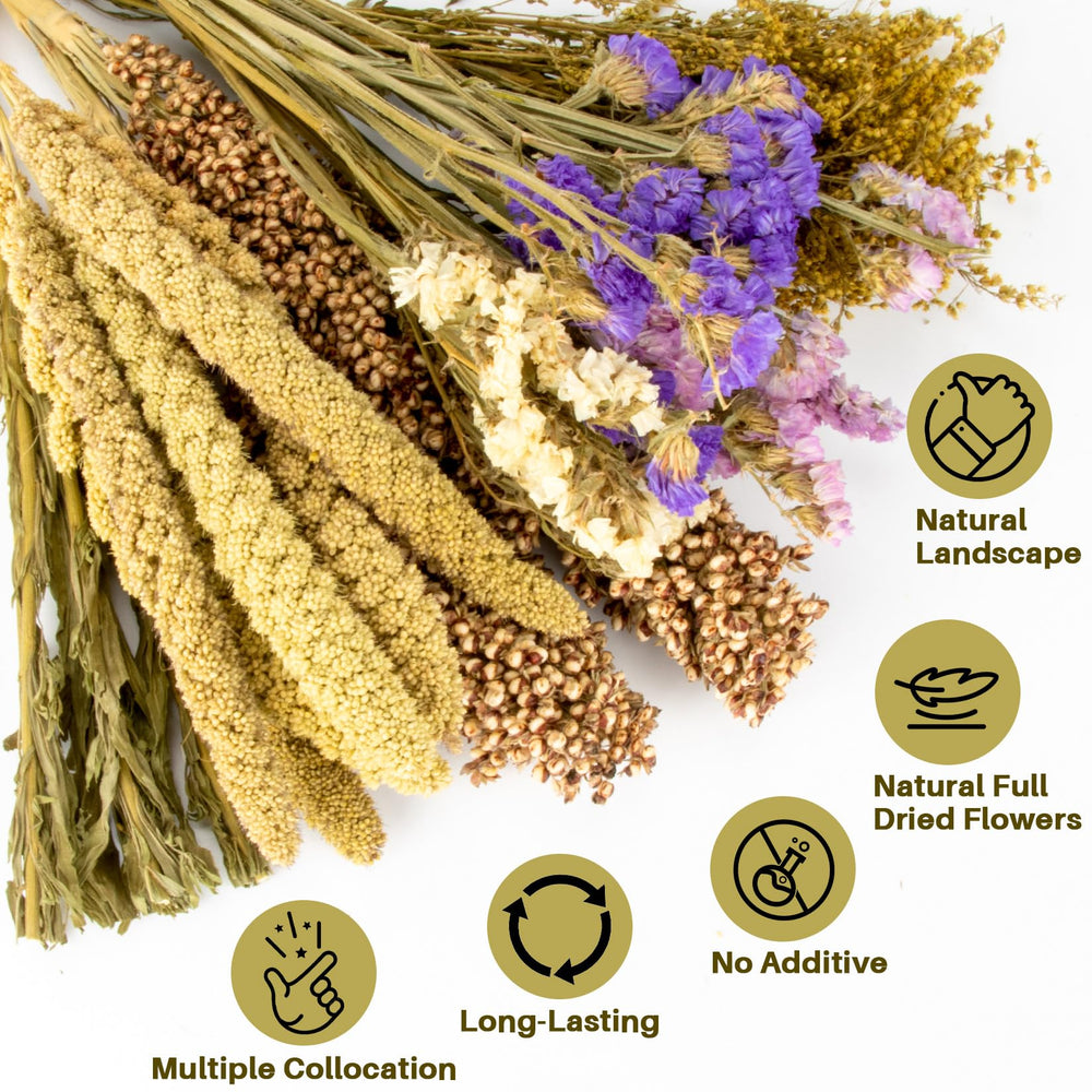 Sukh dried flowers cage enrichment branch adds natural habitat climbing.