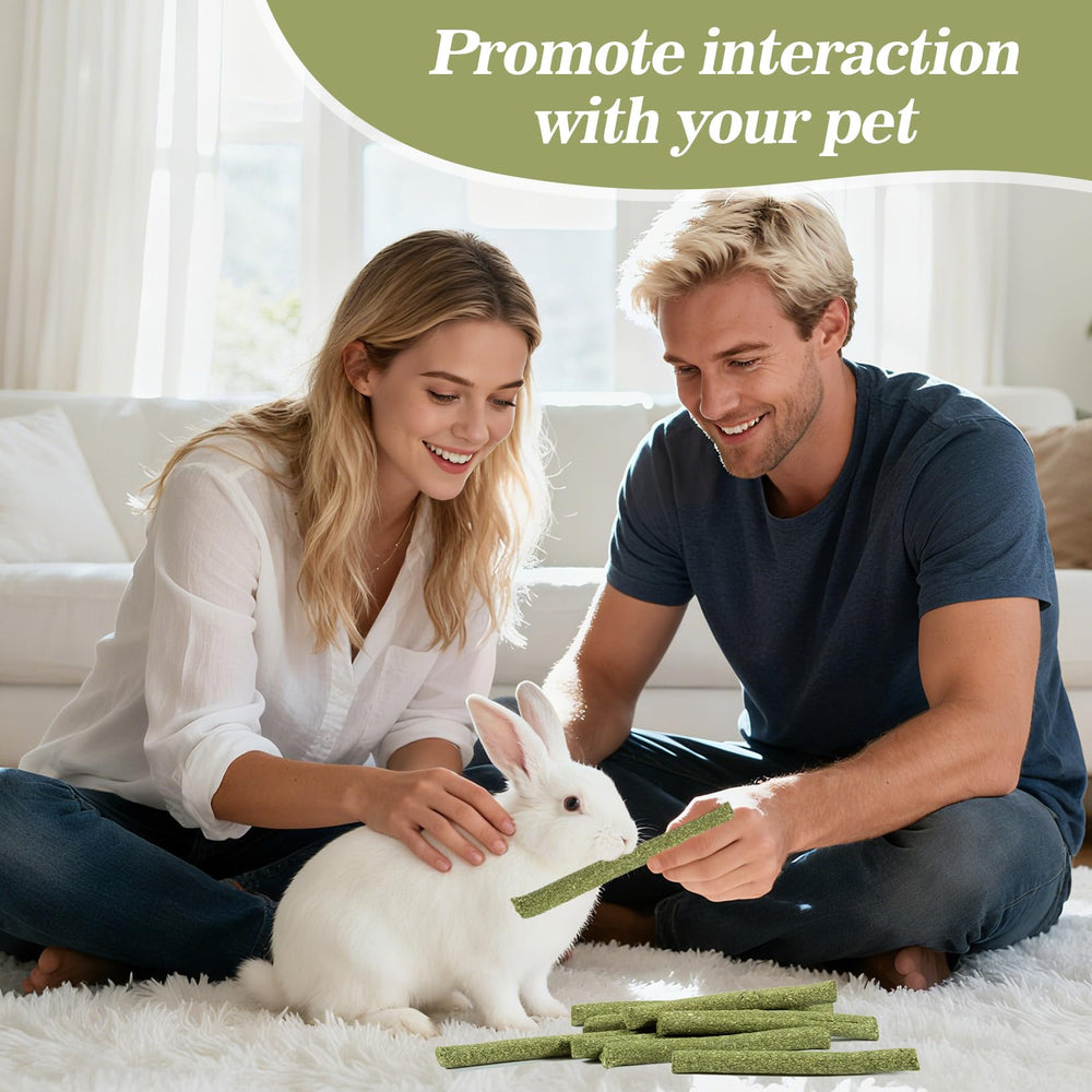 Sukh enrichment session with small pets promotes bonding and curiosity.