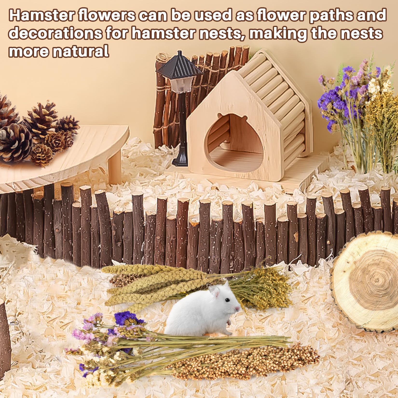 Sukh foraging snack hamster treat encouraging exploration and nibbling.