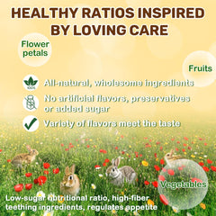 Sukh freeze-dried carrots spinach and strawberries highlight fiber and nutrients