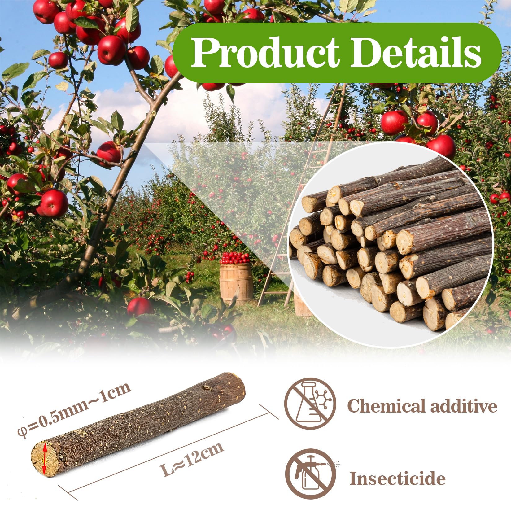 Gerbille utilisant un bâton pomme Sukh, activité naturelle et stimulation mentale.