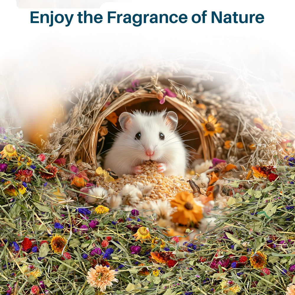 Colorful bedding mix adds visual interest to a compact hamster cage or habitat.
