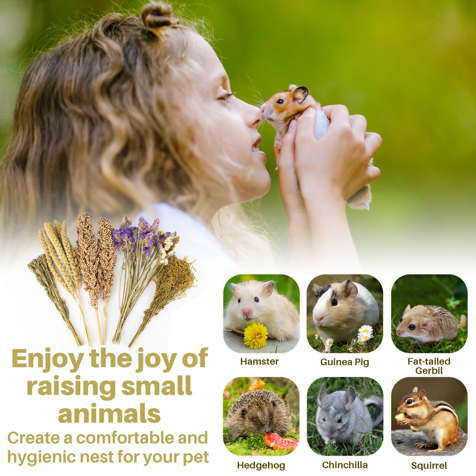 Sukh hamster cage dynamic space-structure promoting climbing and exploration.