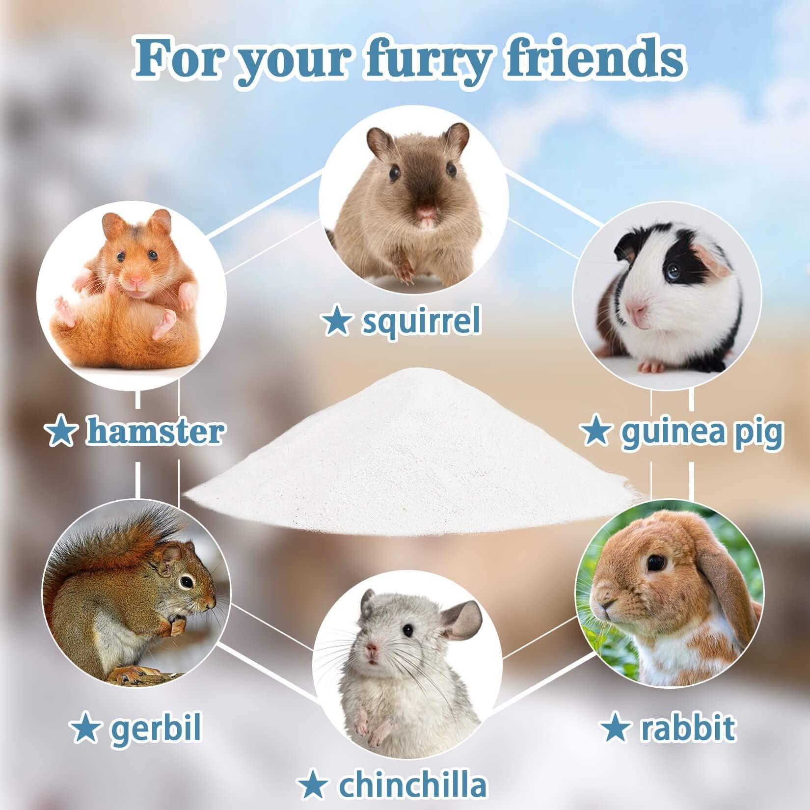 Sukh hamster-digging relaxation with sand bath supports natural activity.