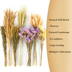 Sukh hamster nest decor natural bedding arrangement for habitat.