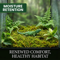 Sukh musgo sphagnum, retención de humedad para reptiles de alta humedad.