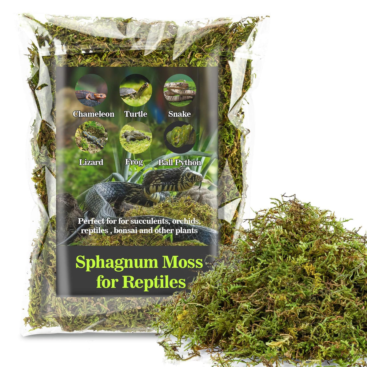 Sukh musgo sphagnum para terrario, mantiene la humedad de forma natural.