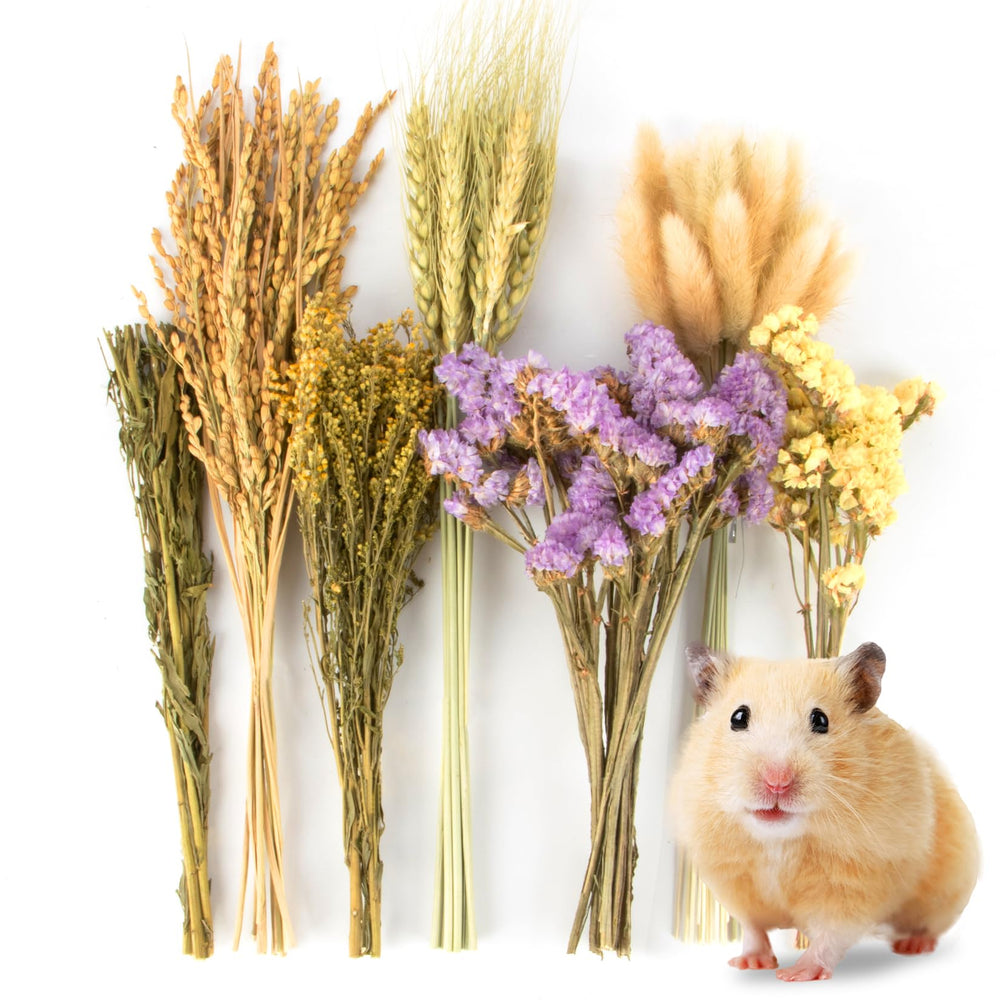 Sukh nature flower herb hamster bedding closeup for cozy nests.