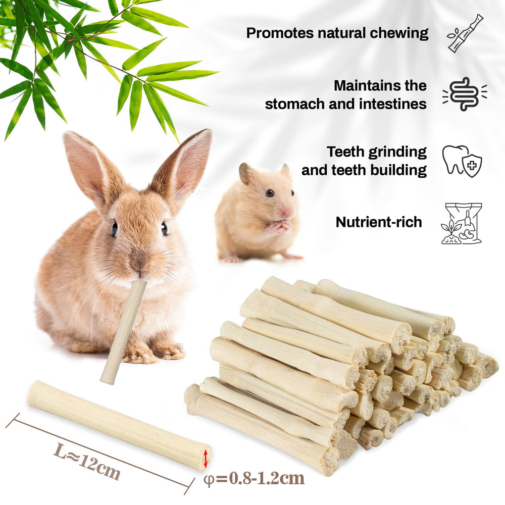 Sukh Packaged chew sticks layout demonstrates durability for repeated use.