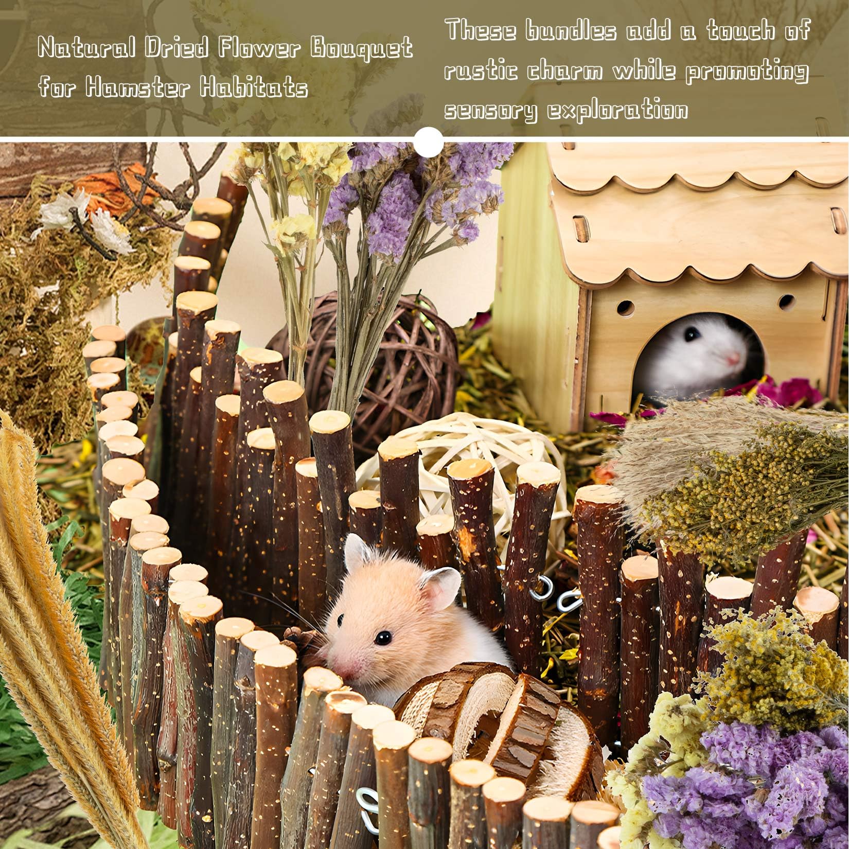 Sukh private retreat hamster nest around-food area creates cozy hiding space.