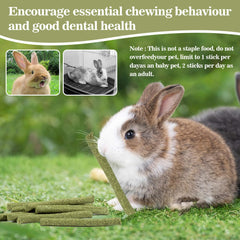 Sukh rabbit chew apple-stick close-up shows natural enrichment for nibbling.