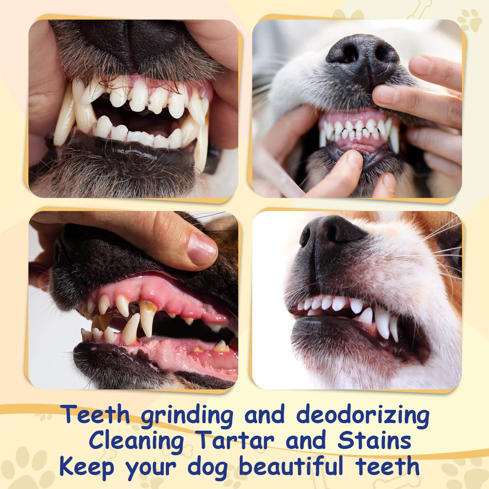 Sukh Rawhide Bones dog chewing action shows engagement and boredom relief