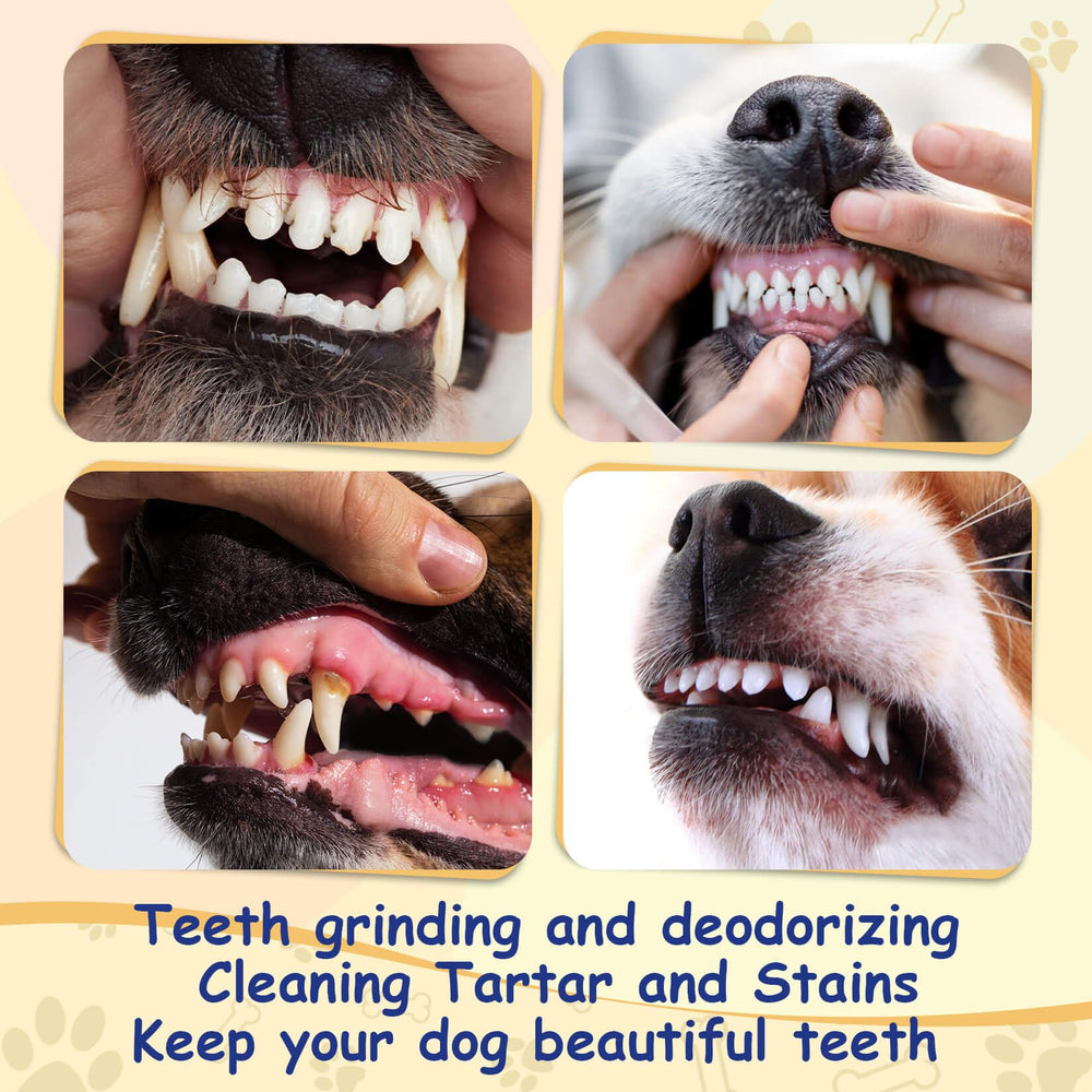 Sukh Rawhide Bones dog chewing action shows engagement and boredom relief