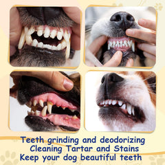 Sukh Rawhide Bones dog chewing action shows engagement and boredom relief