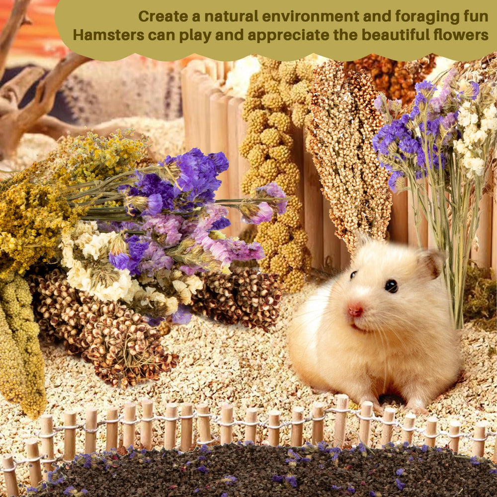 Sukh small-animals habitat decor enrichment for varied play spaces.