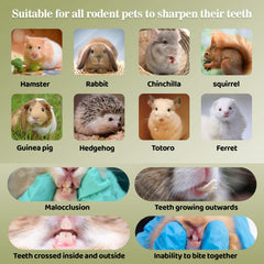 Sukh small-pet dental-wear closeup demonstrates timothy hay benefits for teeth.