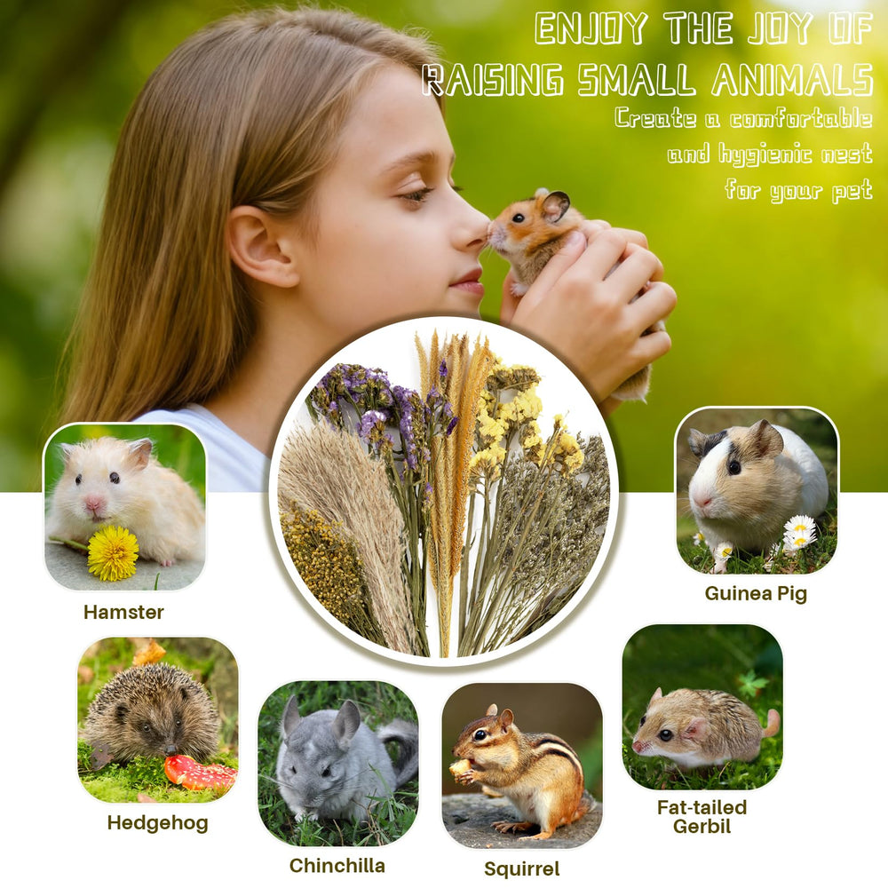 Sukh small pets enrichment playtime setup inspires digging and active exploration.