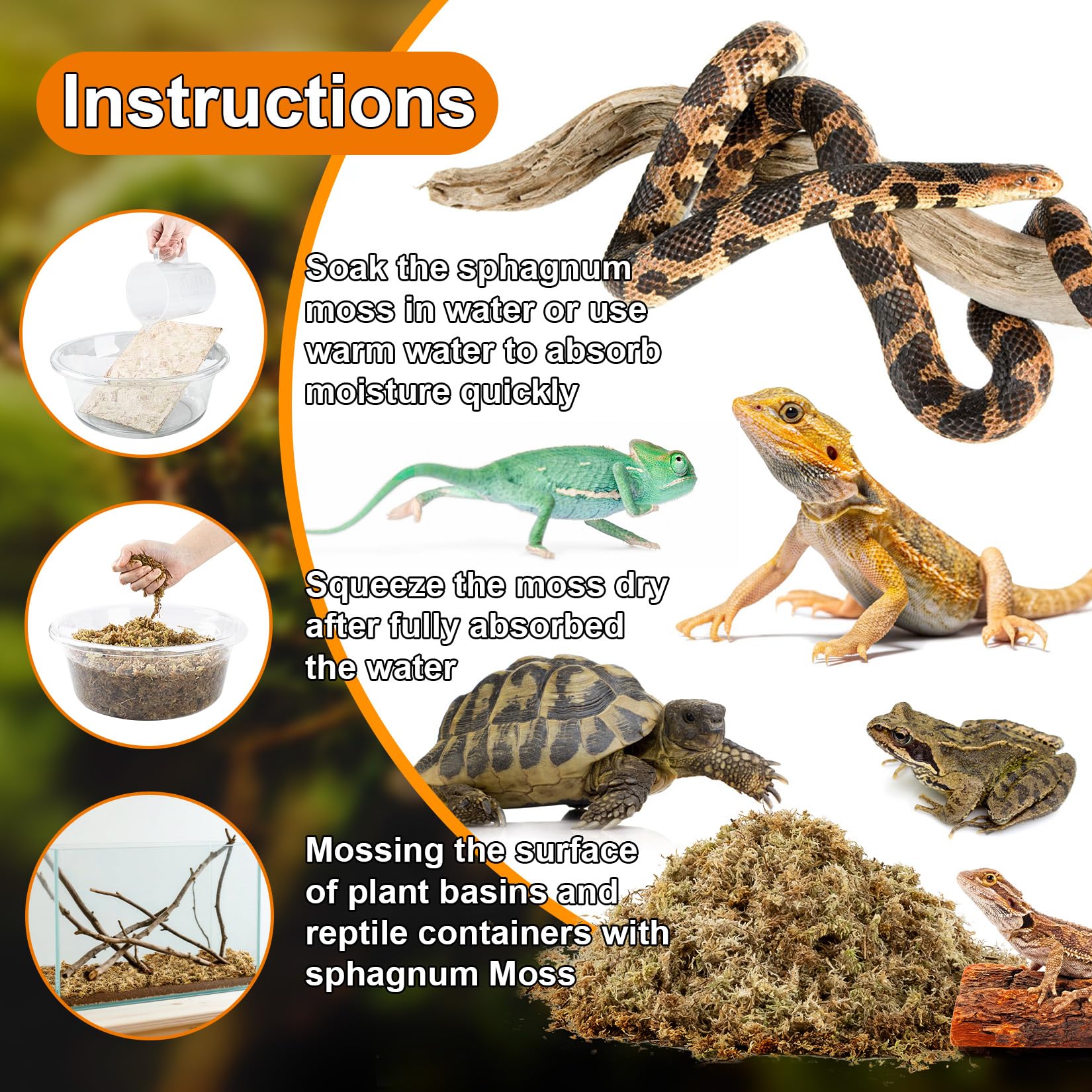 Sukh Sphagnum Moss 3.5 oz packaging emphasized as easy-to-use reptile bedding.