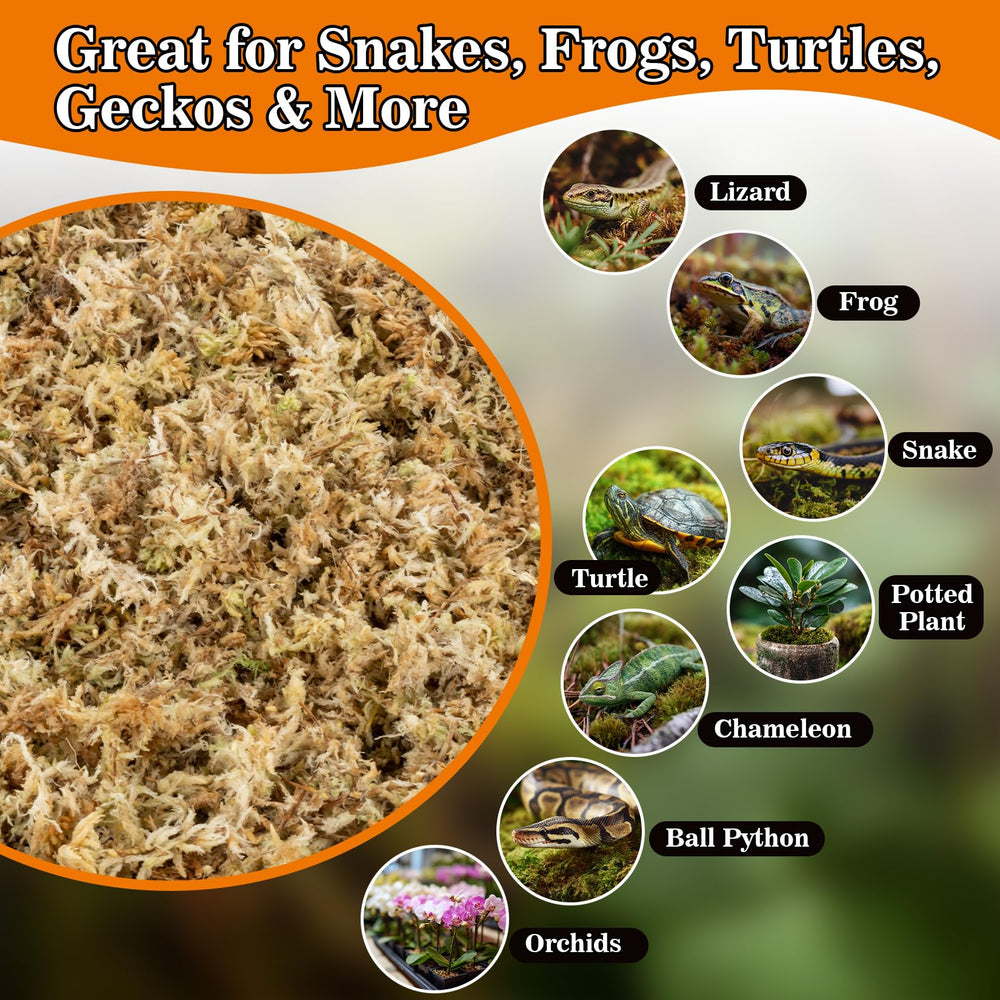 Sukh Sphagnum Moss for reptiles close-up of nestable substrate in enclosure.