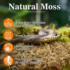 Sukh Sphagnum Moss for reptiles in tank scene showing soft hiding spots for nesting.