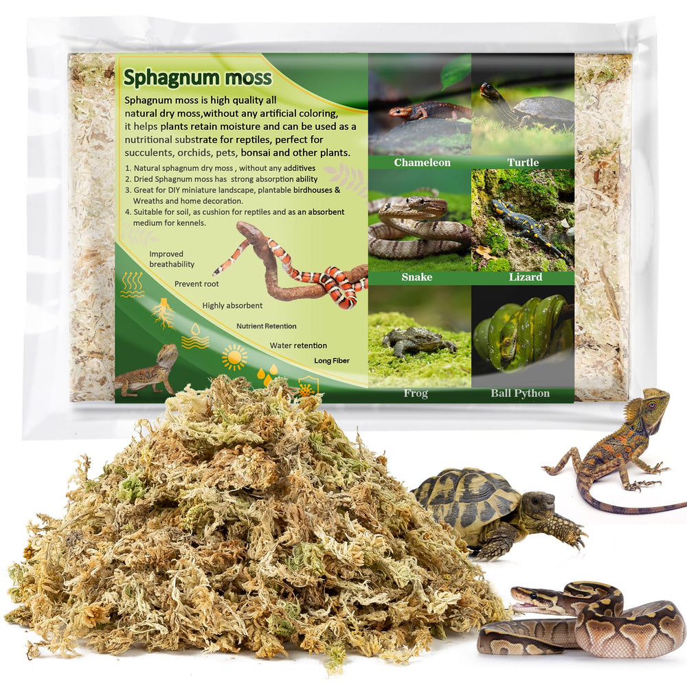 Sukh Sphagnum Moss for reptiles packaging close-up, highlighting moisture-retaining bedding for terrarium use.