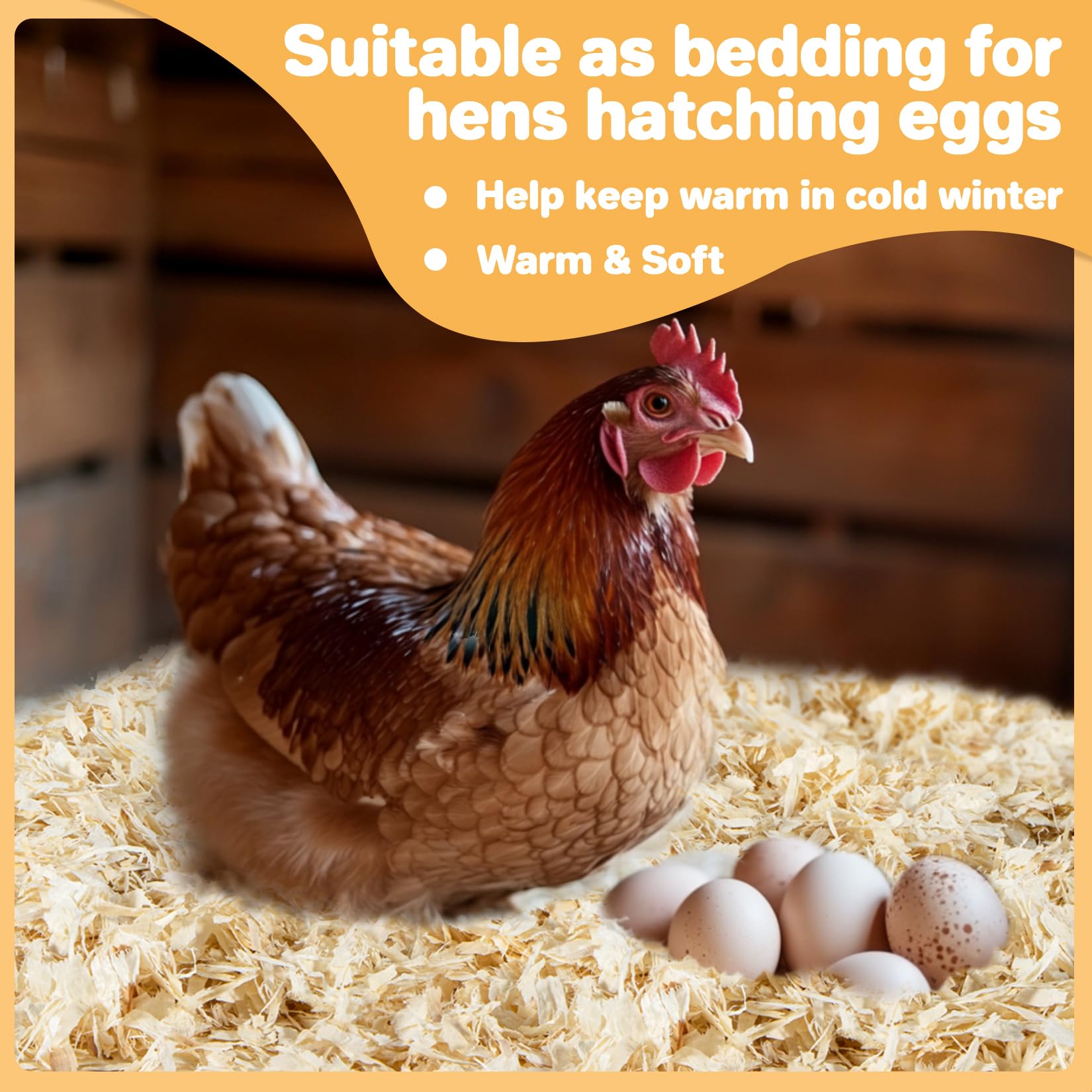 Sukh winterizing coop bedding with odor-control benefits in cold months