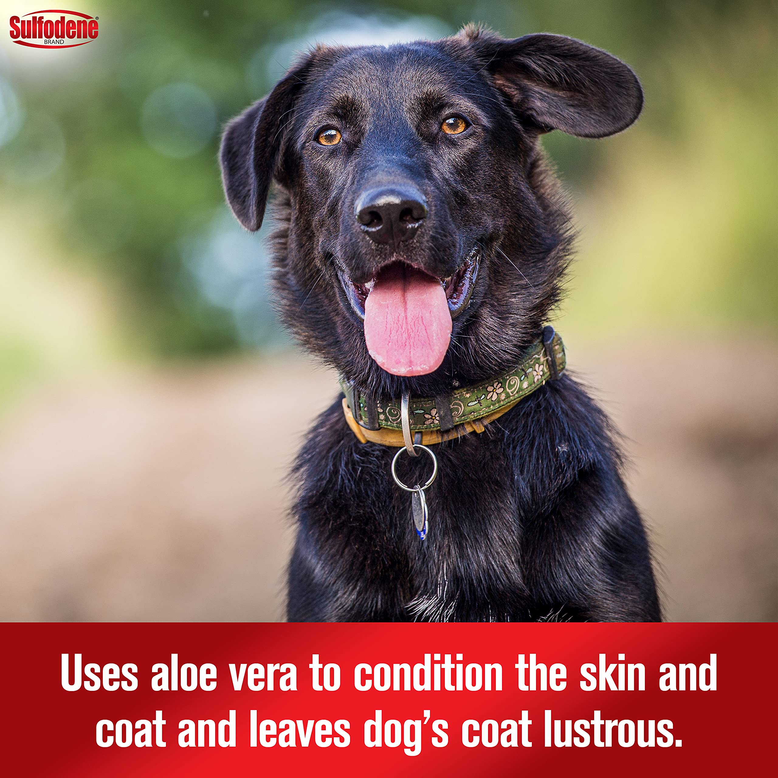 Sulfodene aloe vera ingredient close-up emphasizes skin conditioning.