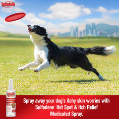 Sulfodene dog-application-spray demonstrates easy spot treatment
