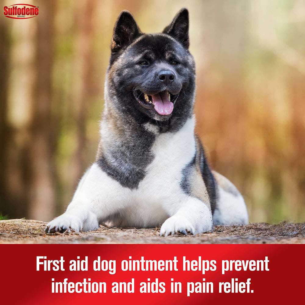 Sulfodene ointment applied on a dog's paw to treat a minor wound.