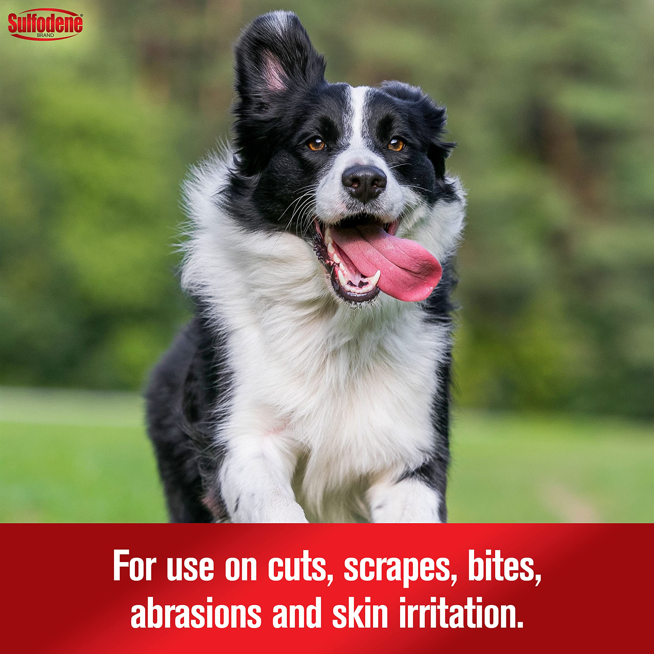 Sulfodene tube shows smooth, easy-to-apply texture on a paw.