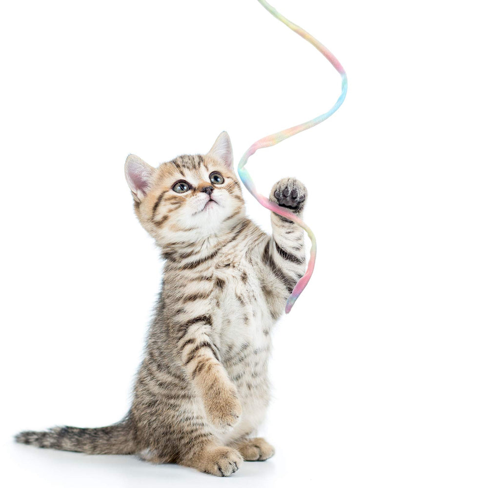 Sumind cat wand teaser assorted colors appeals to multi-cat households