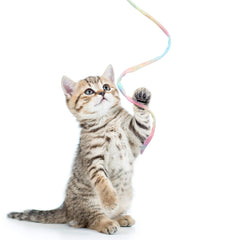 Sumind cat wand teaser assorted colors appeals to multi-cat households