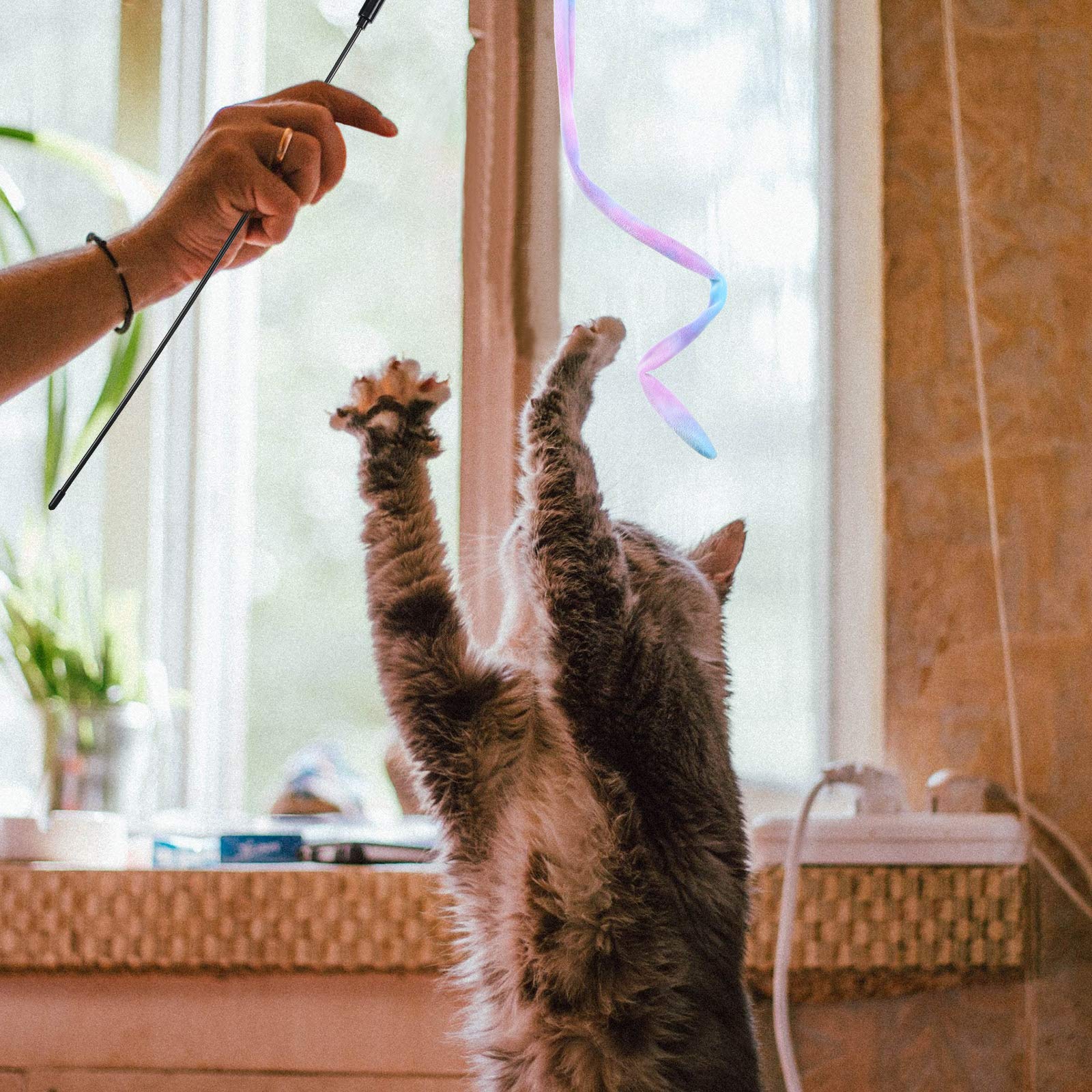 Sumind cat wand teaser gift-packaging hints at a thoughtful cat-owner present