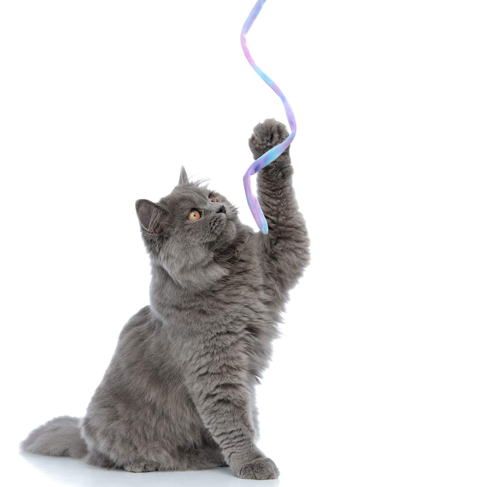 Sumind cat wand teaser in-use showcases interactive bonding and enrichment sessions