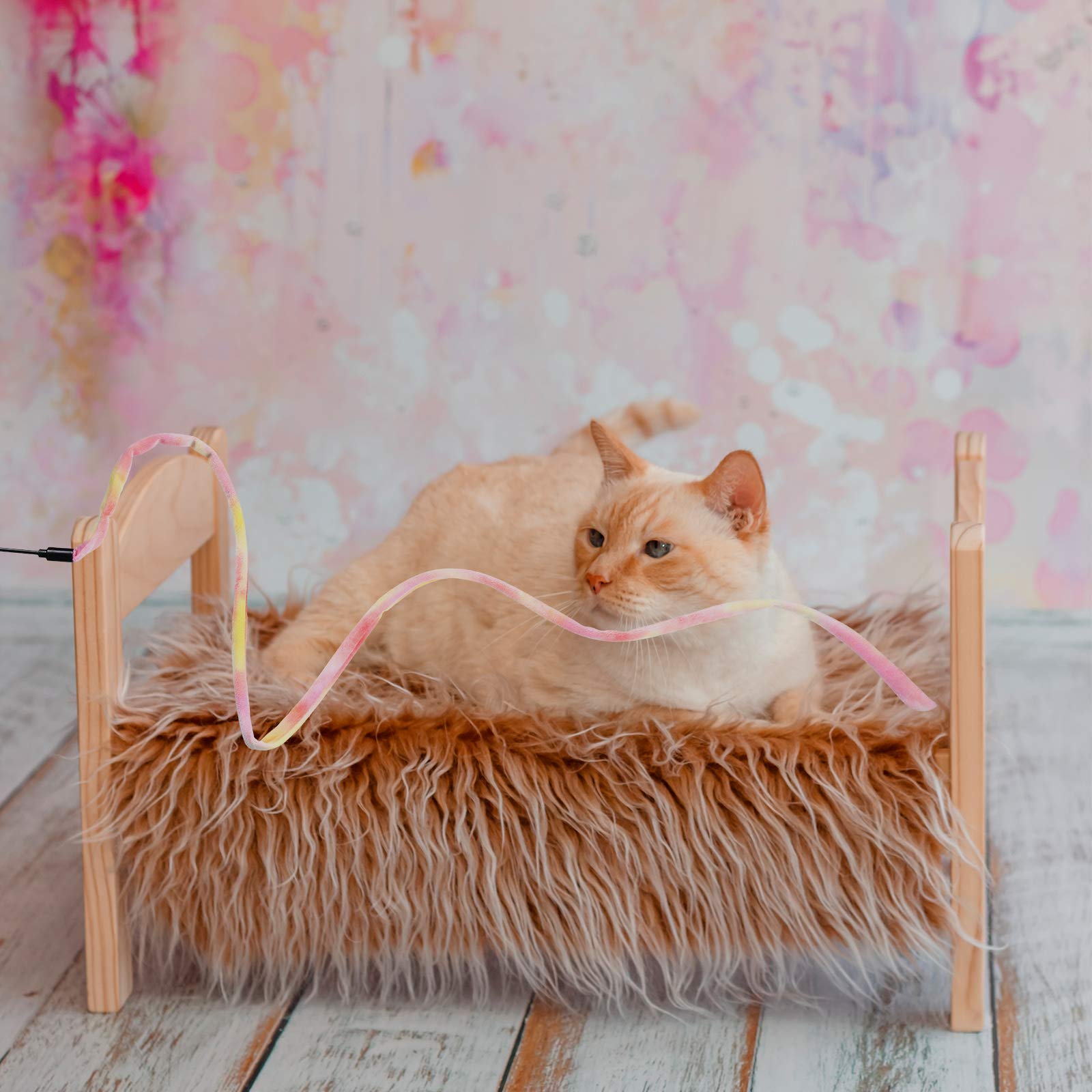 Sumind cat wand teaser kitten play demonstrates chasing and agility at home