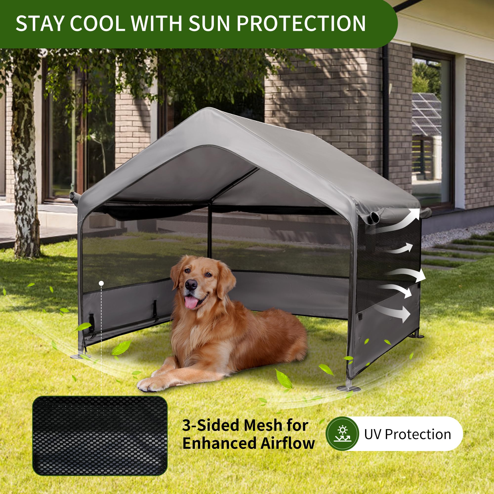 Summertrail dog tent outdoor three-sided mesh windows provide breathable airflow.