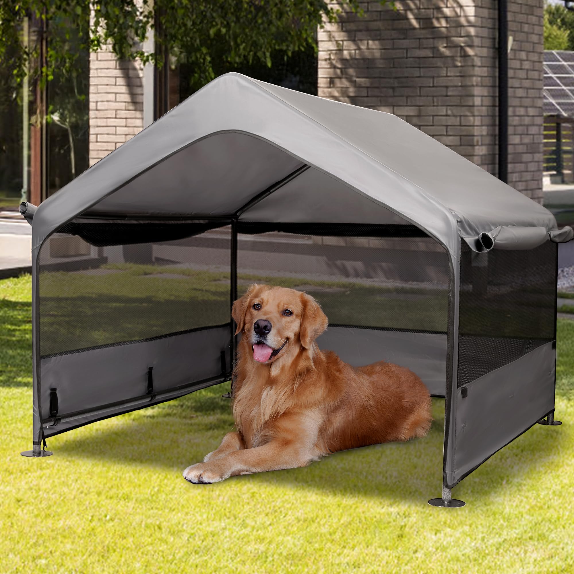 Summertrail extra-large dog house outside side view shows spacious shelter for large breeds.