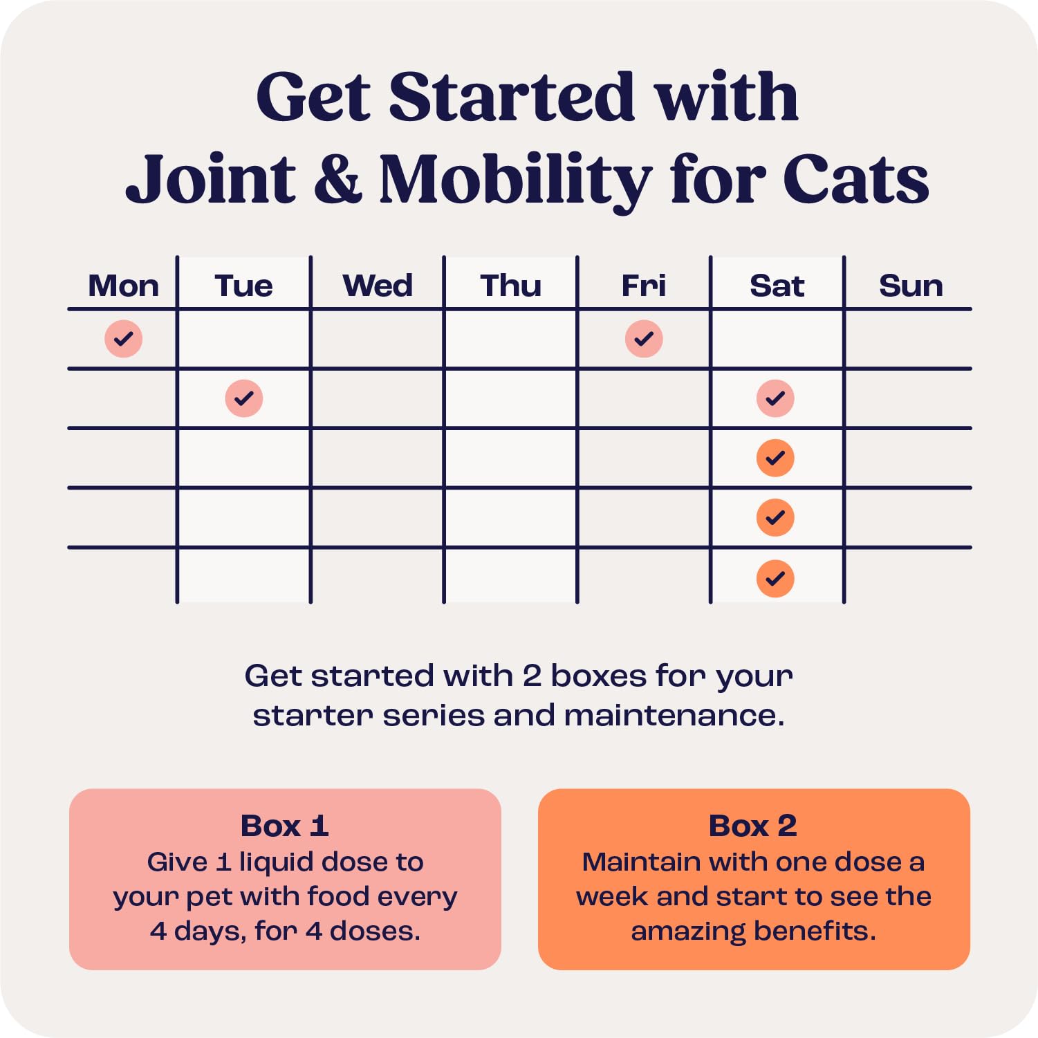 Summit Animal Health cat enjoying active life illustration