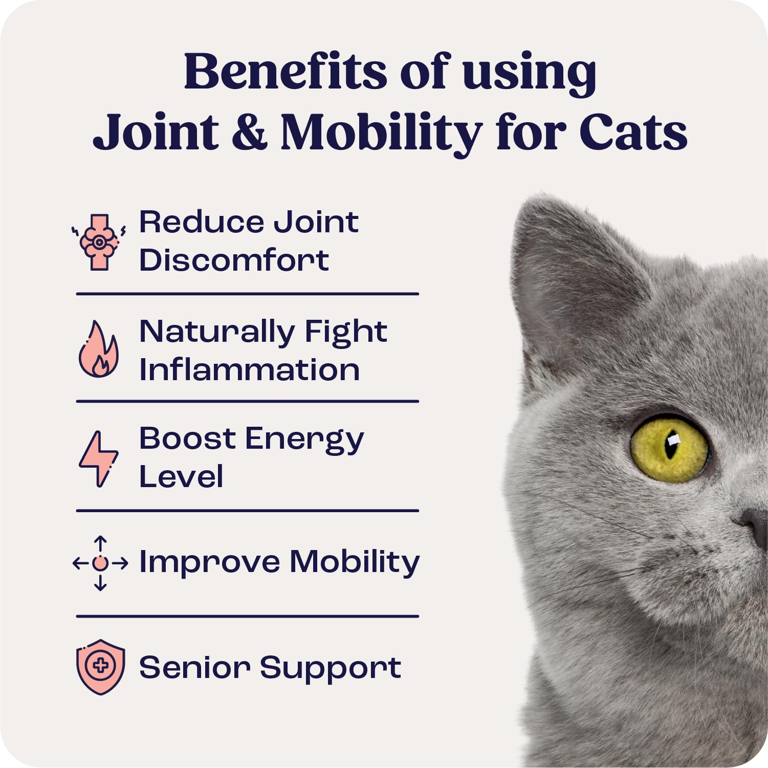 Summit Animal Health liposomal delivery graphic emphasizing enhanced absorption