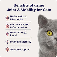 Summit Animal Health liposomal delivery graphic emphasizing enhanced absorption