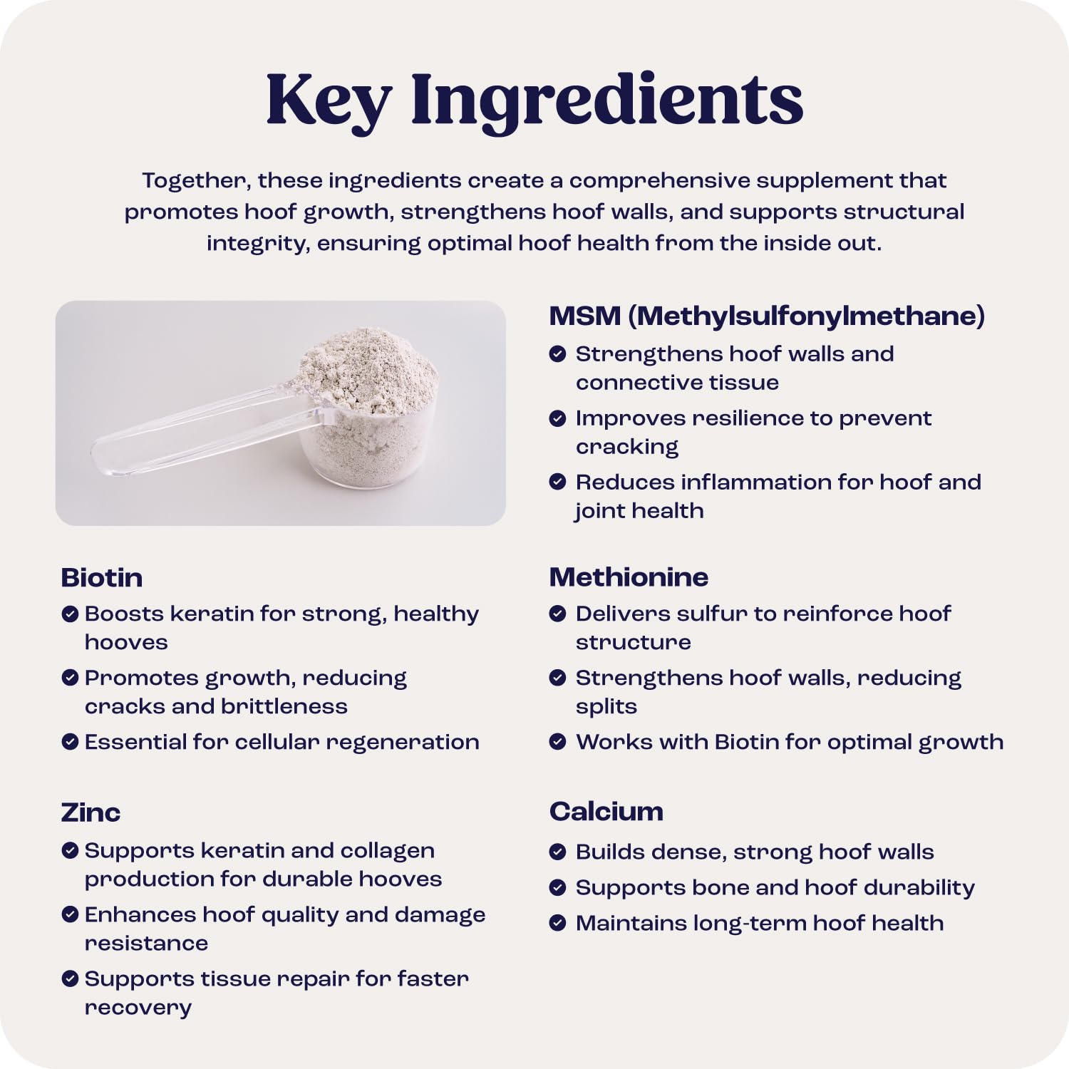 Summit Equine Hoof Strength healthy-hooves movement shows comfort during riding.