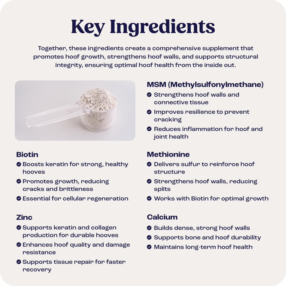 Summit Equine Hoof Strength healthy-hooves movement shows comfort during riding.