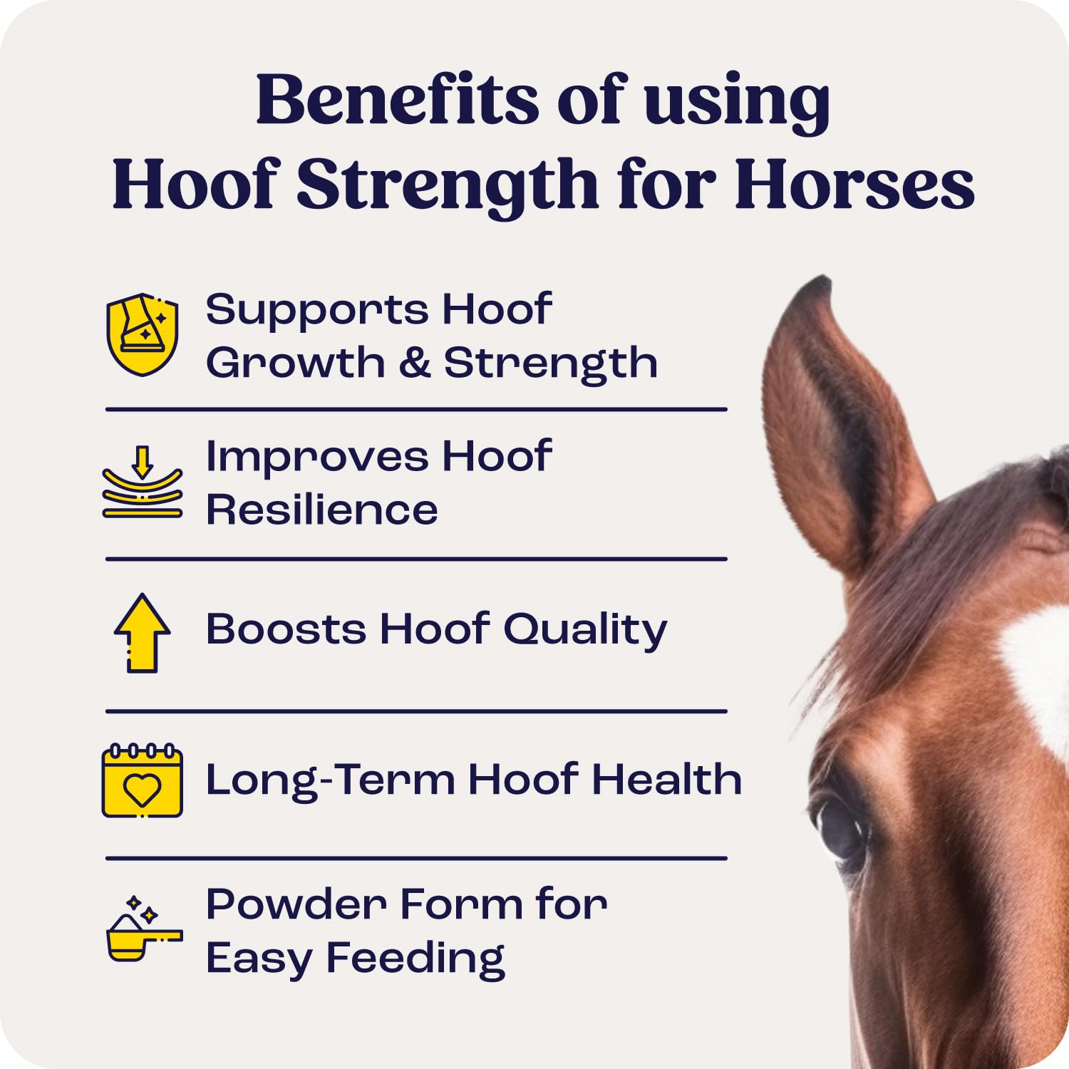 Summit Equine Hoof Strength Powder scoop demonstrates easy daily dosing for hoof health.