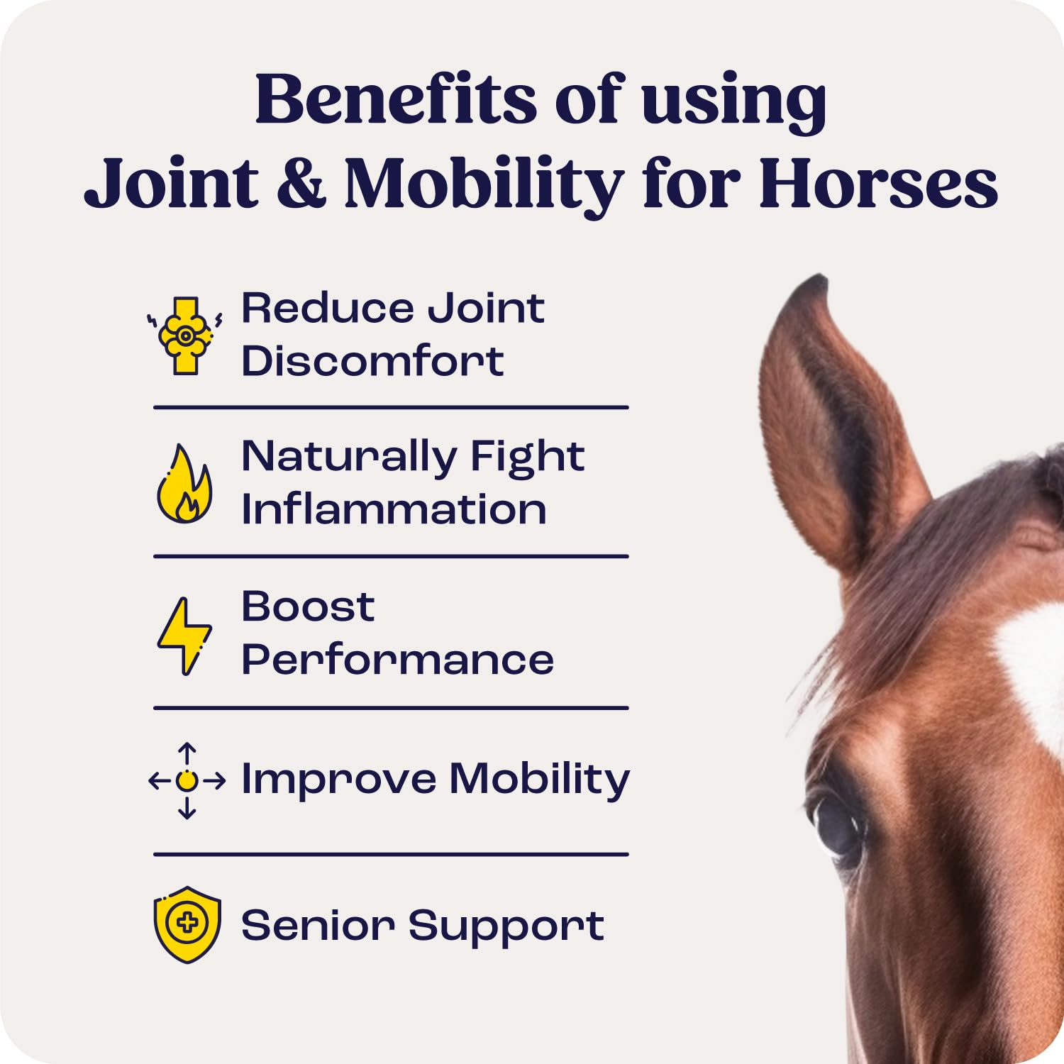 Summit Equine Joint Bites liposomal delivery graphic demonstrates improved nutrient absorption.