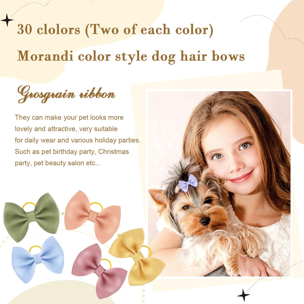 SUMMORO bows on a pet showcase outfit coordination and party-ready looks.