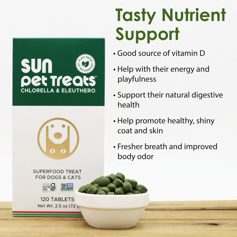 Cat enjoying Sun Chlorella Sun Pet Treats for coat and skin support