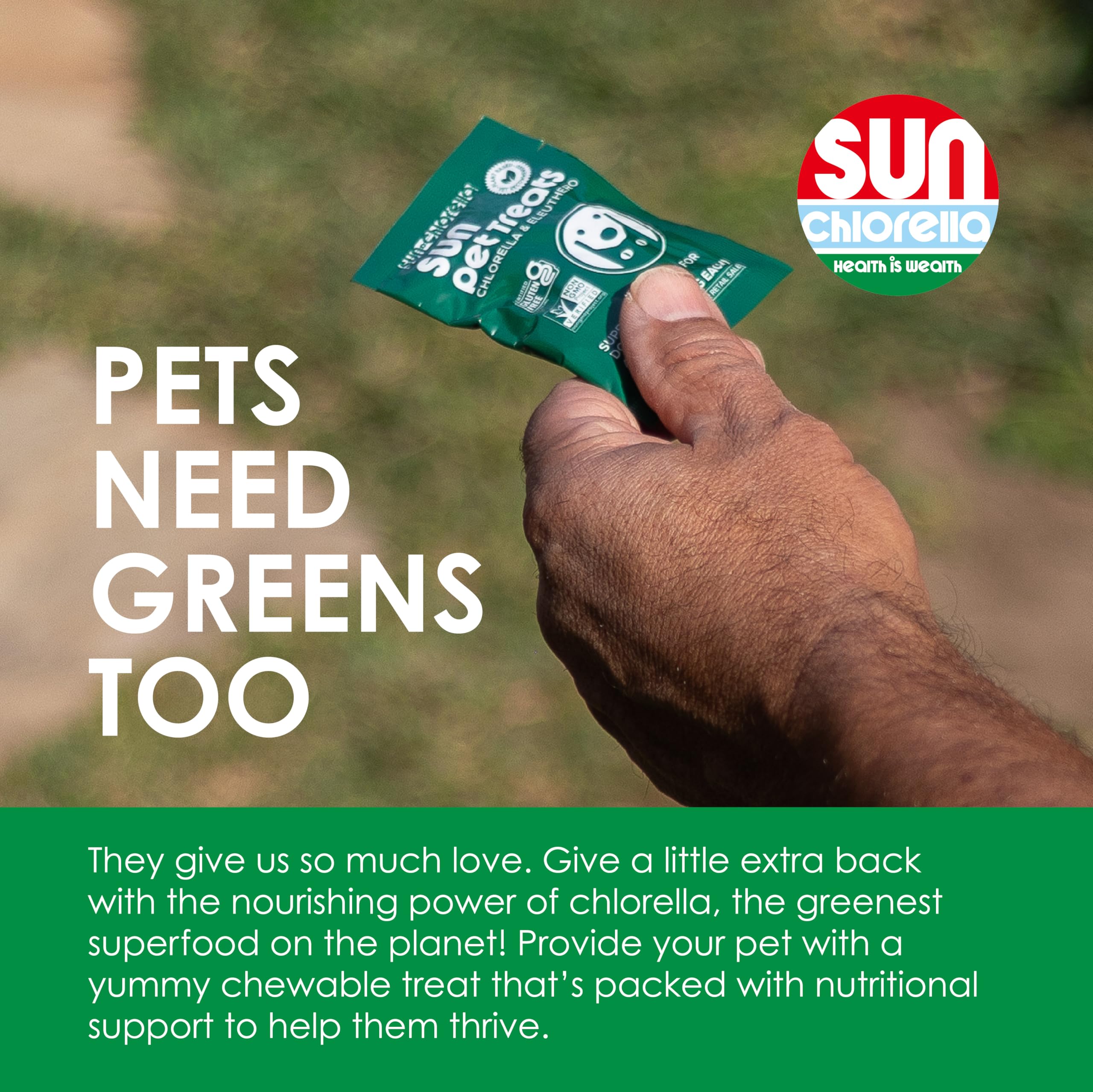 Sun Chlorella Sun Pet Treats chew close-up, showing a tasty bite