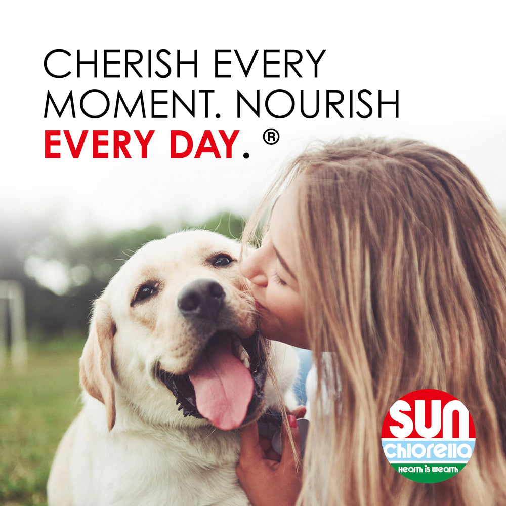 Dog enjoying Sun Chlorella Sun Pet Treats for daily wellness