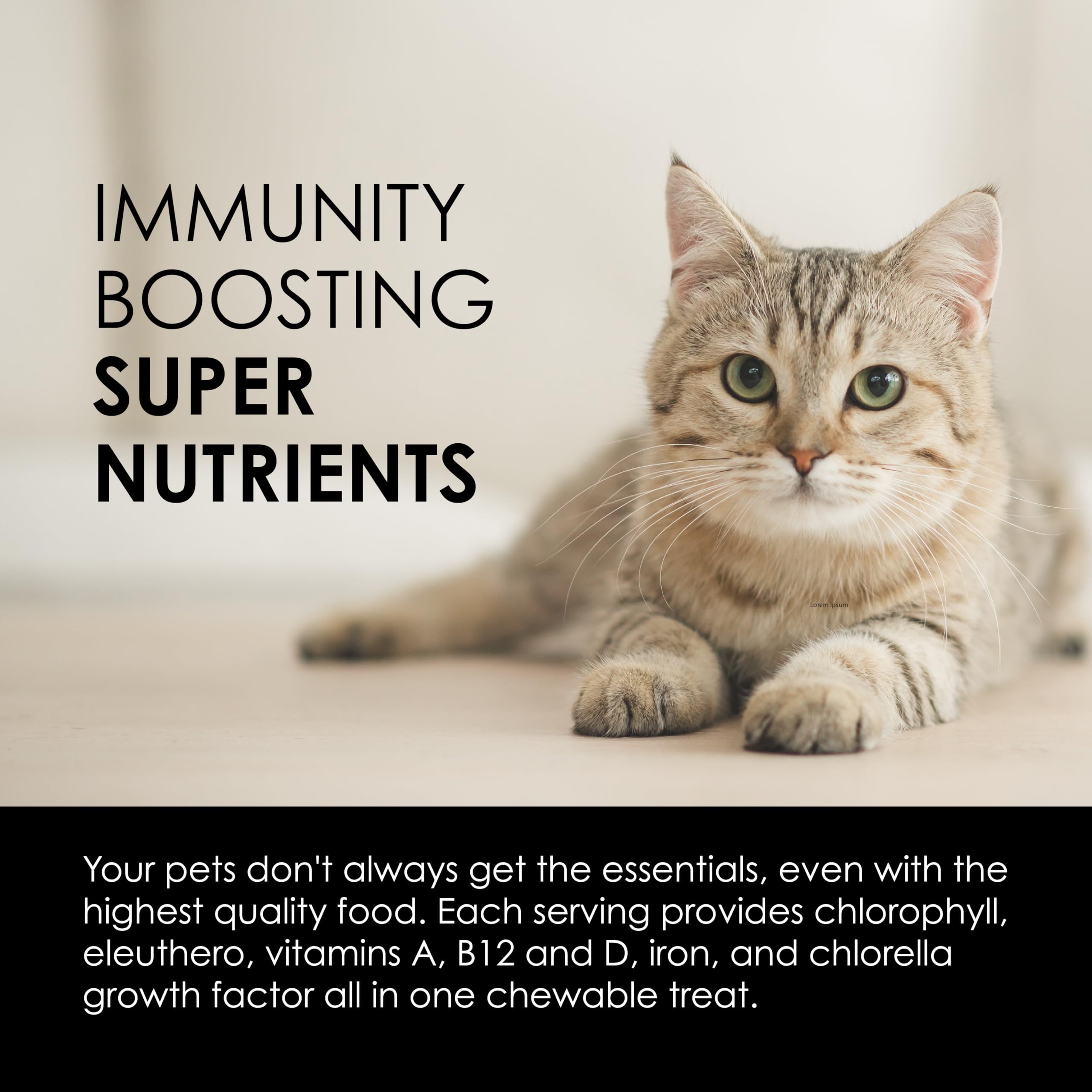 Eleuthero in Sun Chlorella treats helps pets adapt to daily stress